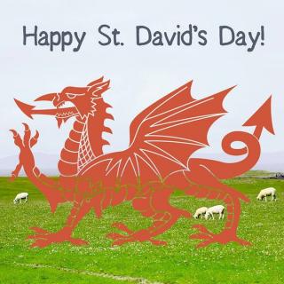 We are wishing all our staff, learner, employers and partners a Happy St David’s Day. Rydym yn dymuno Dydd Gwyl Dewi Hapus i'n holl Staff, Dysgwyr, Cyflogwyr a Phartneriaid’