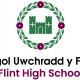 Flint High School - Design Technology Technician Apprentice