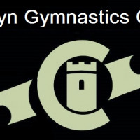 Delyn Gymnastics - Coaching Assistant Apprentice