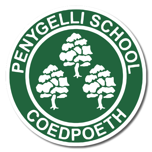 Penygelli Primary School - Wrexham AFC PE and School Sport Apprentice