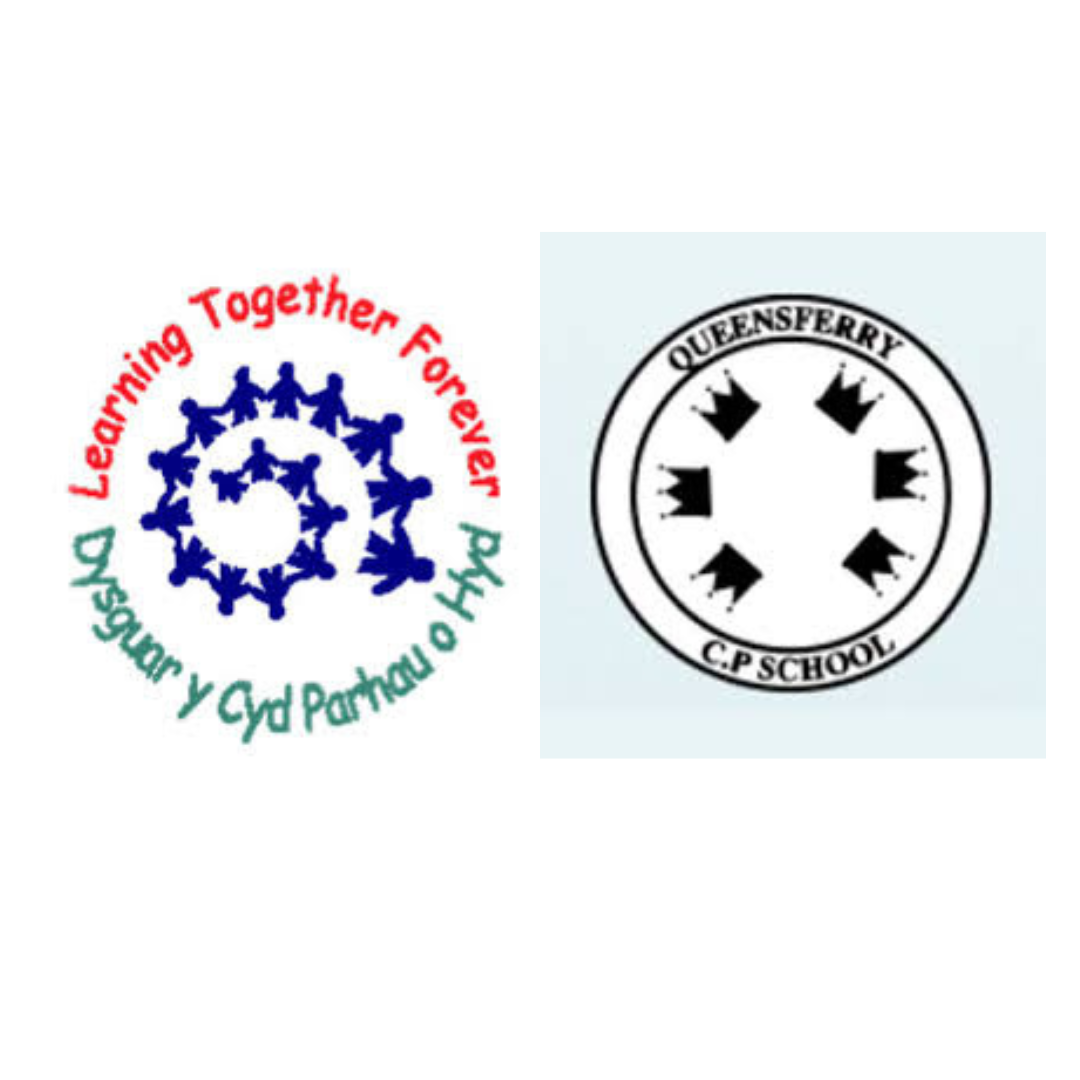 Ysgol Bryn Deva & Queensferry CP School - Wrexham AFC PE and School Sport Apprentice