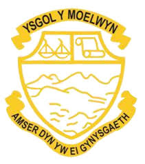 Ysgol Y Moelwyn - Prentis Cefnogaeth TGCh